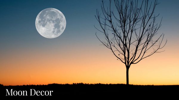 17 BEST Moon Decor Ideas 2022 | Expert Picks