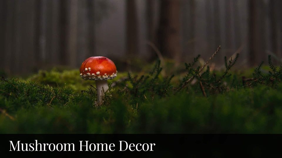 Mushroom Home Decor Bluebombay.com  e1656624811256