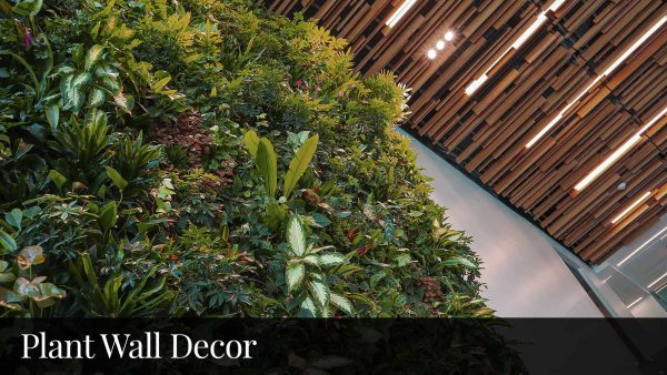 17 BEST Plant Wall Décor Ideas 2022 | Expert Picks