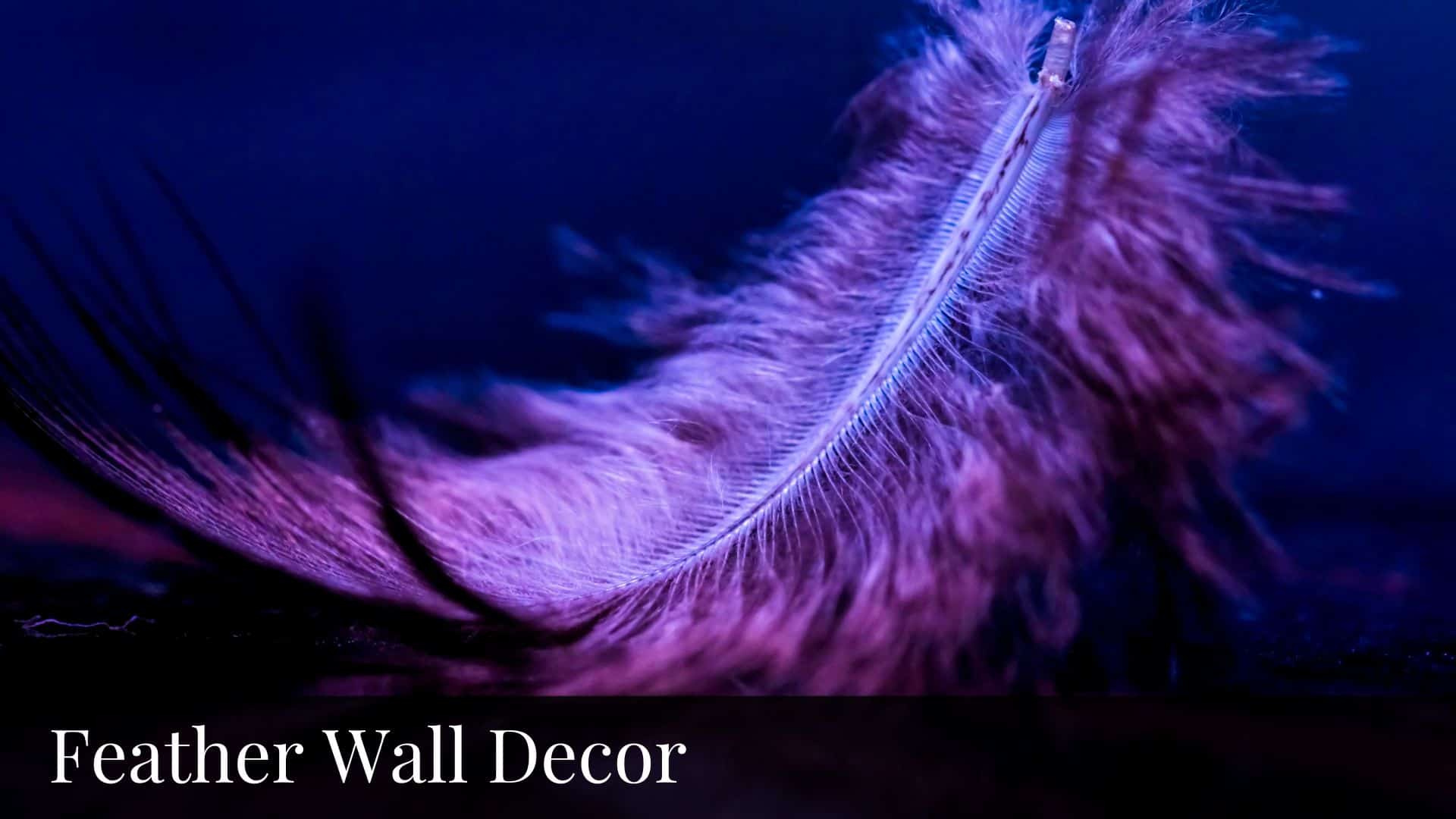 Feather Wall Decor - Bluebombay.com
