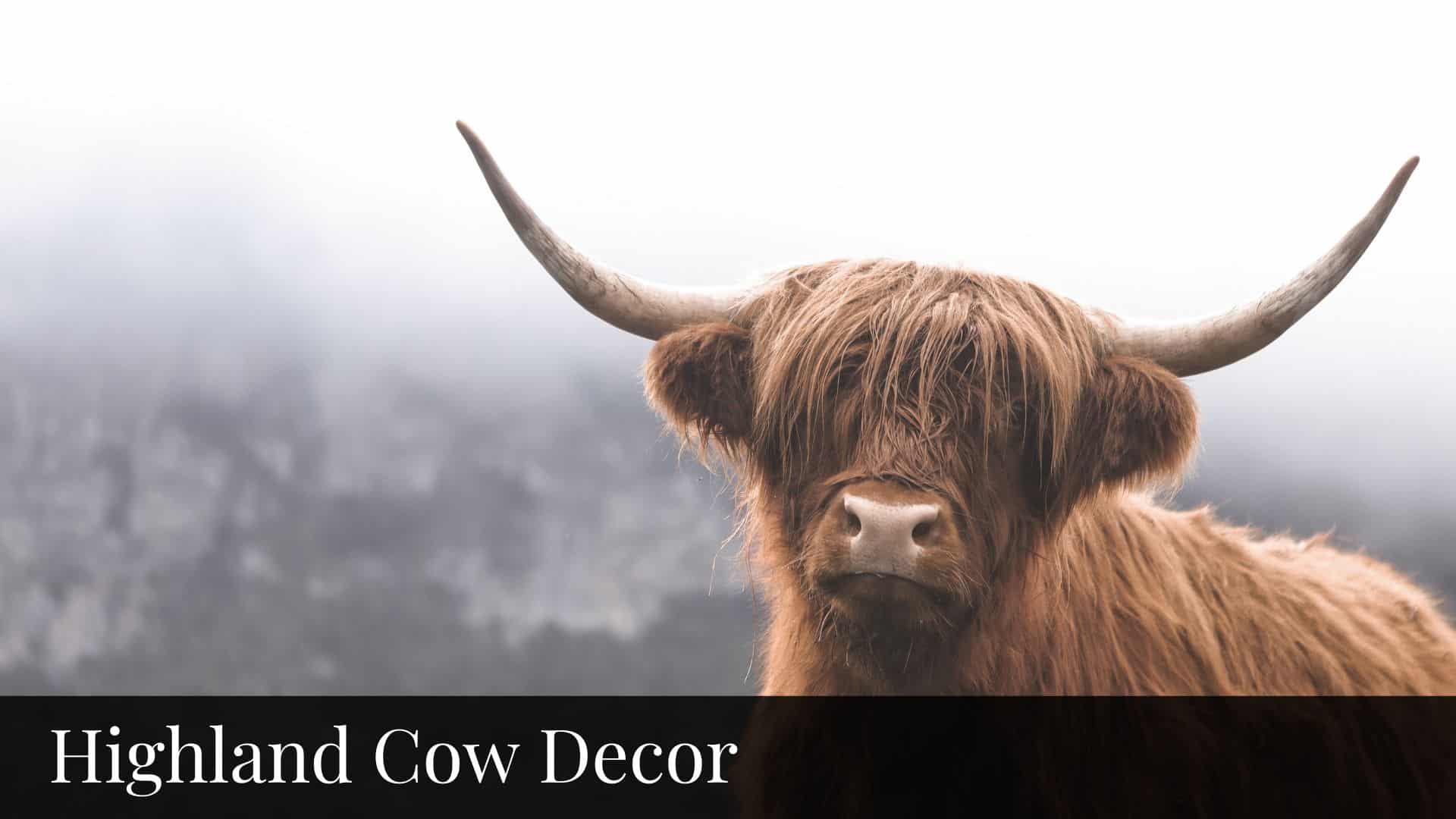 Highland Cow Decor - Bluebombay.com