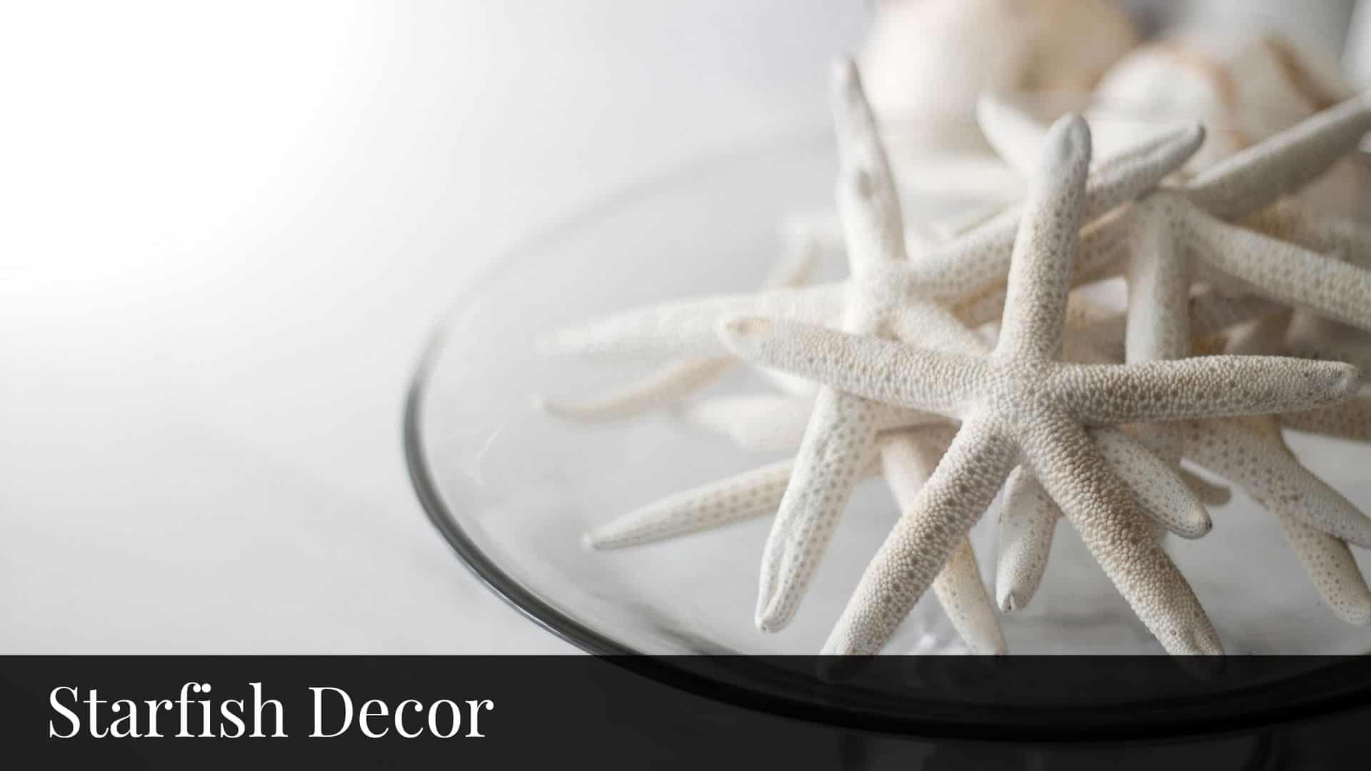 Starfish Decor - Bluebombay.com